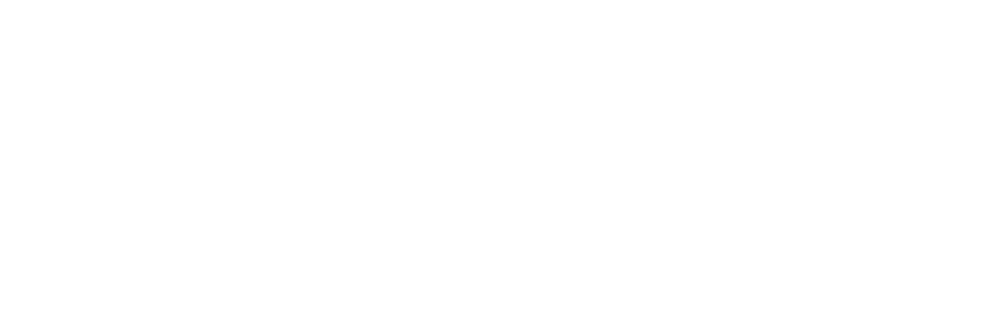 Verizon